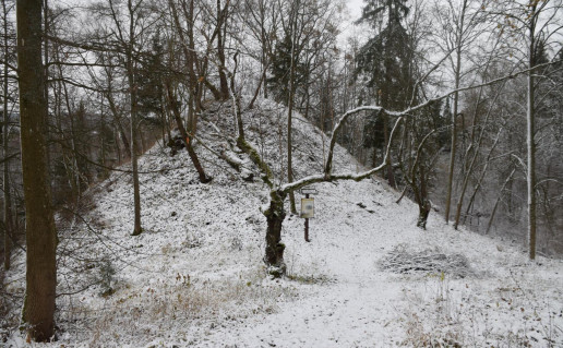 13_Lasiniu piliakalnio pylimas_R_Mikitiejevos foto.jpg